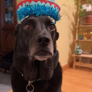 Fundraising Page: Amanda Devers